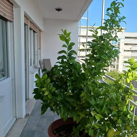 With Private Toilet And Balcony In Center In Shared