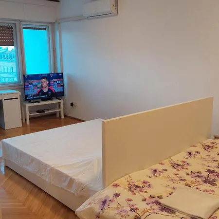 With Private Toilet And Balcony In Center In Shared Apartment *
