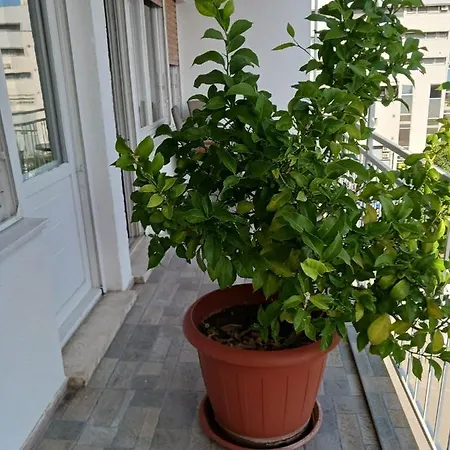 With Private Toilet And Balcony In Center In Shared Apartman Split